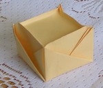 2-sheet box:
Insert - bottom view