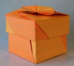 Recycled flyer box, type 1.