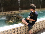 July 2006.  Tristan and turtles at Acapulco