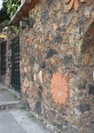 A beautiful wall on the way from Tonya's house to the language school at la Universidad International.