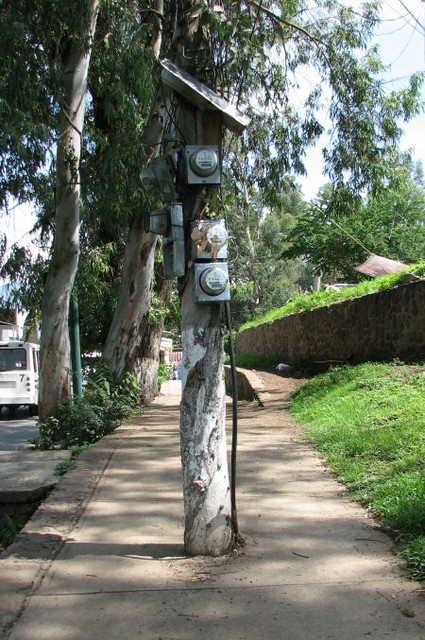 In other areas, the eucalypts gifted by the Australian government have been put to good use. Locals complain the trees use too much precious water.