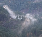 Mist in the valley.