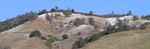 Jan 2007.  What's left of a night's snowfall on Mt Diablo by 11am.