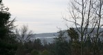 Spring mists in the mountains outside our back door.