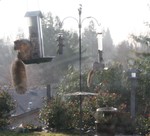 The furry birds are out in force today.
