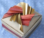 Dr Phan's Box

Designed by Tomoko Fuse
Modified & folded by Rosemary LYNDALL WEMM