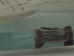 Picture 003.jpg