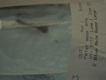 Picture 005.jpg