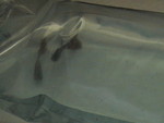 Picture 006.jpg