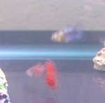 Picture 013.jpg
