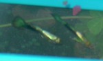 Picture 023.jpg