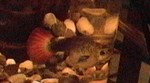 DVC00172.JPG