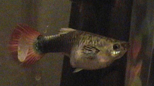 DVC00185.JPG