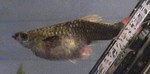 DVC00192.JPG