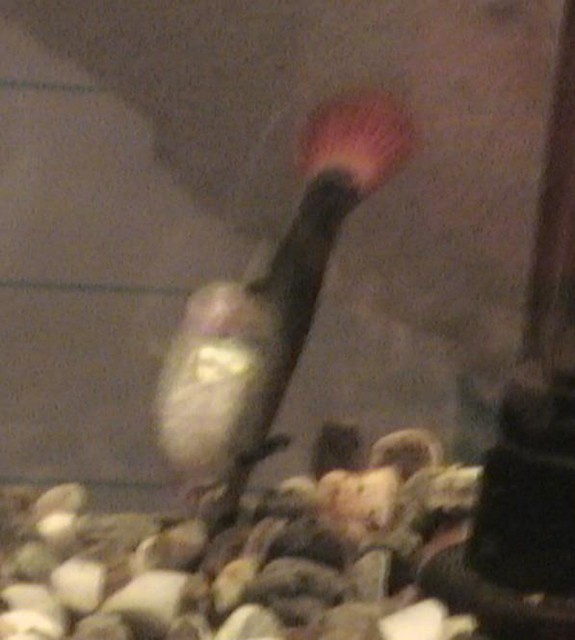 DVC00196