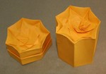 Sunken Lid Tower Box.  Sept 2006