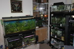 Picture 028.jpg