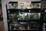 Picture 030.jpg