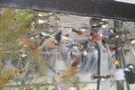 Fry grow-out tank